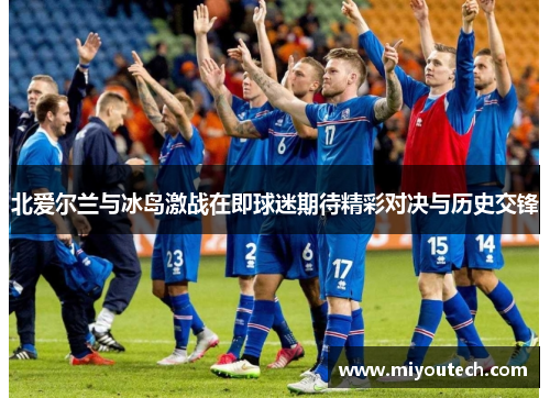 北爱尔兰与冰岛激战在即球迷期待精彩对决与历史交锋